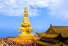 峨眉山、乐山大佛 豪华精品二日游（赠送川剧变脸晚会+四川火锅）