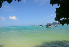 泰开心~太开心！